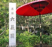 紅葉シーズンを迎えた六義園!混雑を避ける観光方法と見どころとは?