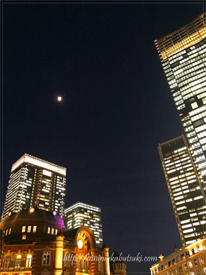 東京駅丸の内側のビル群と伝統あるデザインの東京駅
