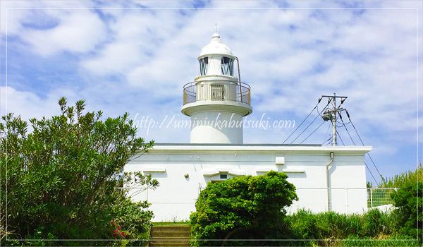 城ヶ島の観光に外せない城ヶ島灯台商店街、なぜ周辺に見どころが満載？