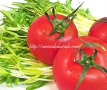 美肌効果と疲労回復!2つのパワーが蘇る超簡単な夏野菜レシピ