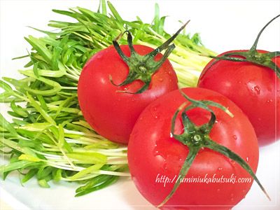 美肌効果を狙えるレコピンが豊富なトマトと、疲労回復が狙えるβカロテンが豊富な空芯菜の芽。