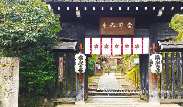 京都観光2泊3日のモデルコースと時間を節約する3つのポイントとは？