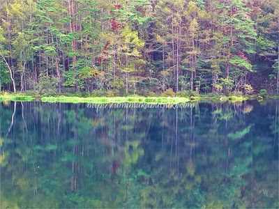 少し角度を変えるだけで湖面の表情も変わる絶景の御射鹿池