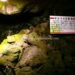 関東の穴場な避暑地！青木ヶ原にある人気の洞窟「富岳風穴」とは？